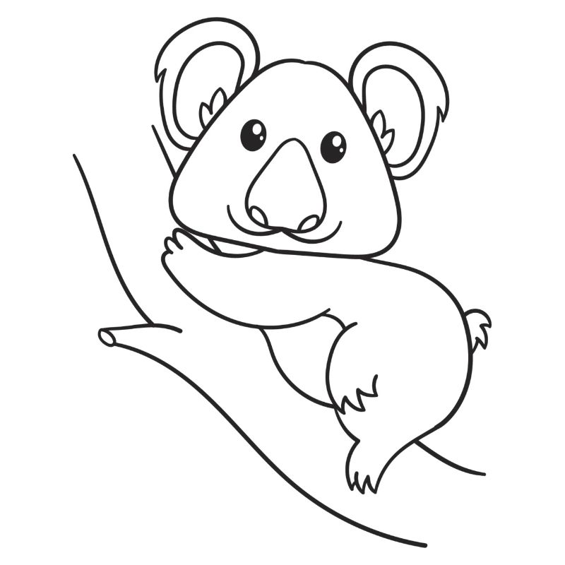 Koala, Koalabär, Geschenk, Geschenkidee