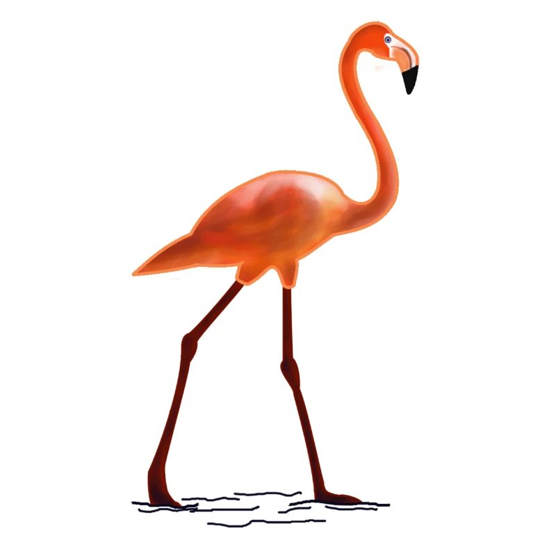 Flamingo