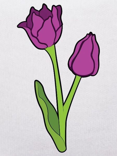 Tulpen