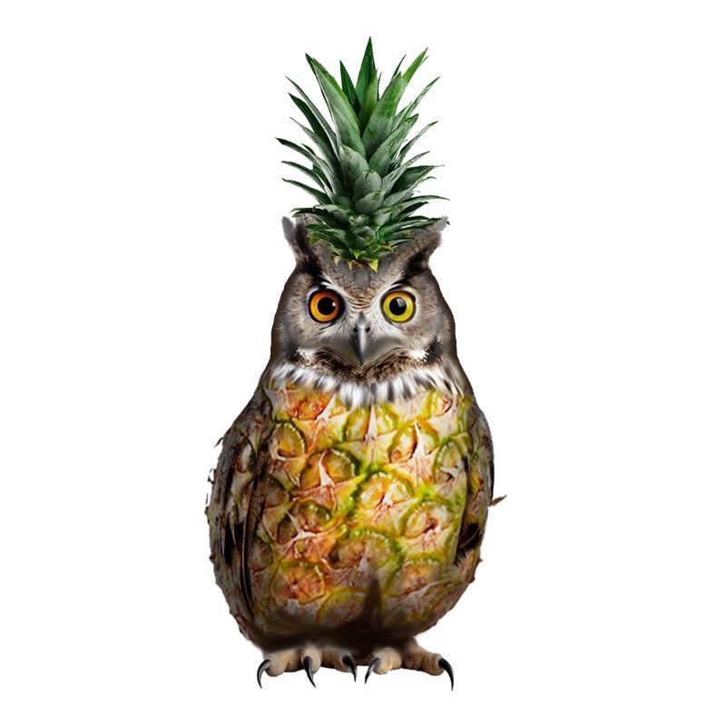 Eule Ananas