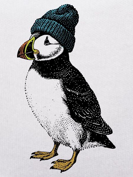 Winter Puffin