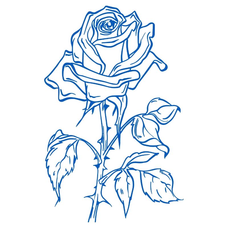 Blue Rose