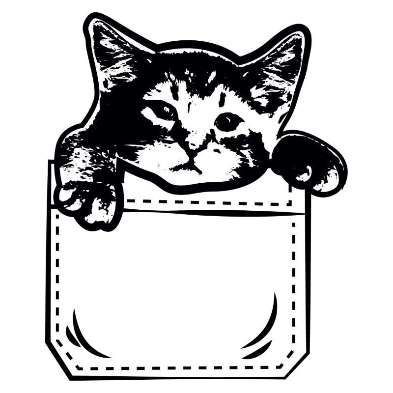 Chat chat chat propriétaire de la poche poitrine chats