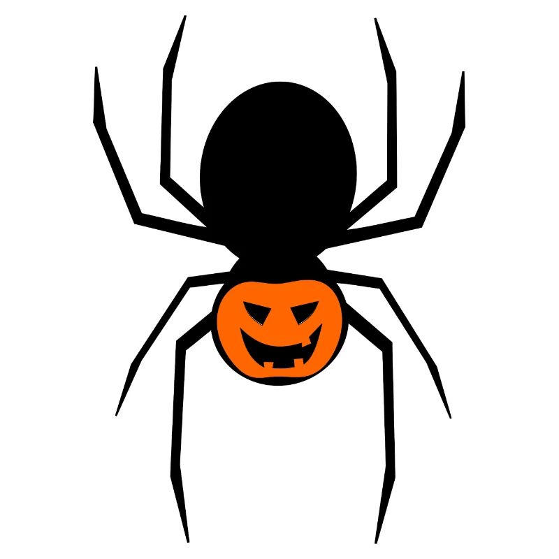 Spinne Halloween Kostüm