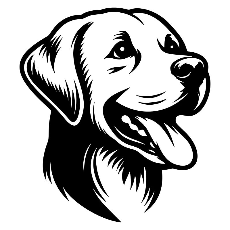 Labrador Drawing Head