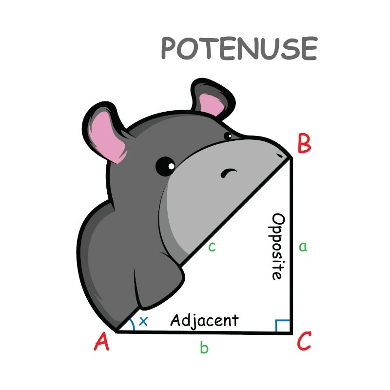 Hippopotenuse Math Genius Gift