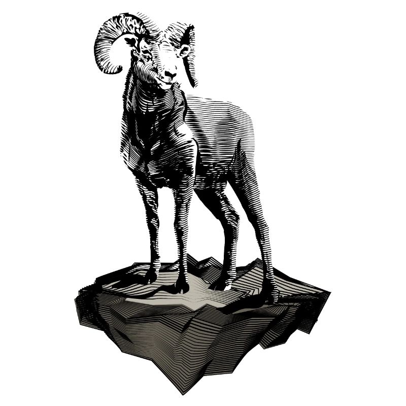 Widder - Aries -Tierkreiszeichen - Sternzeichen