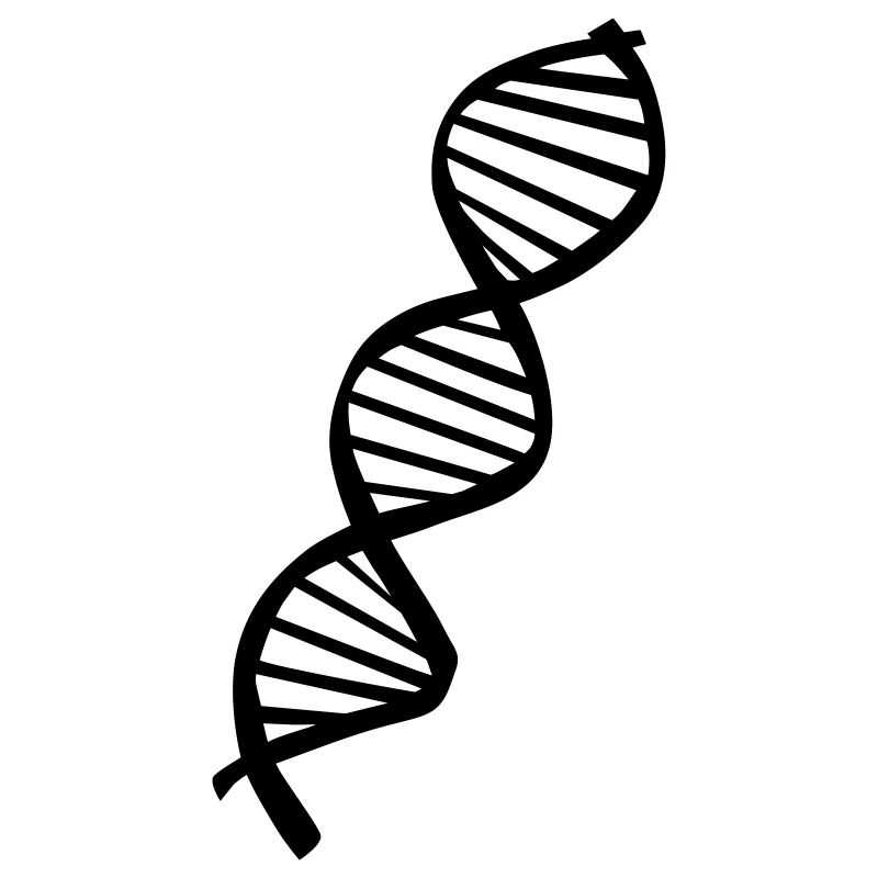DNA (super cheap)