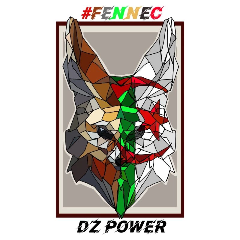 Fennec DZ power