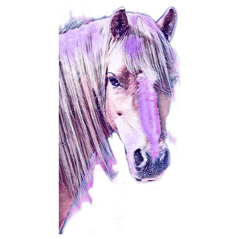 Welsh Pony