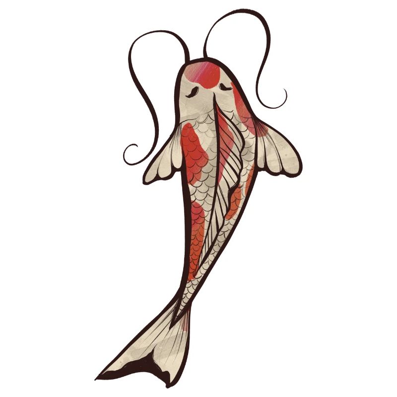 Koi
