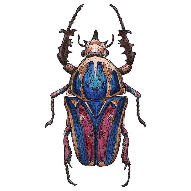 Big Beetle Stag - cerf géant