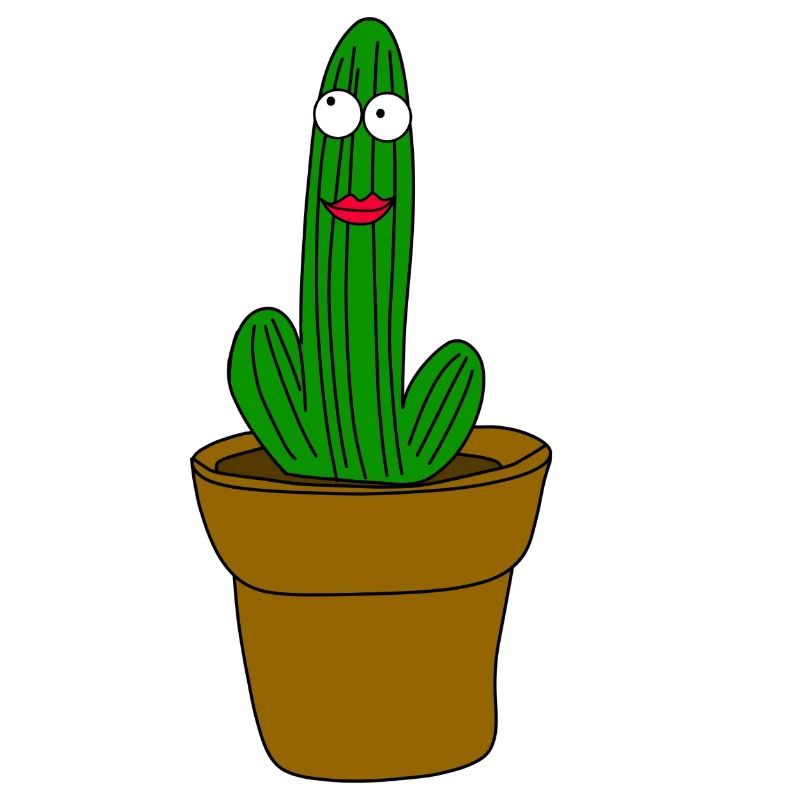 Cactus avec visage