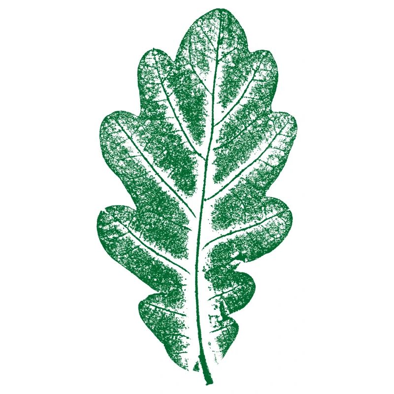 Vert Feuille de Chêne - Monocolore - Feuille/Chêne/ Arbre