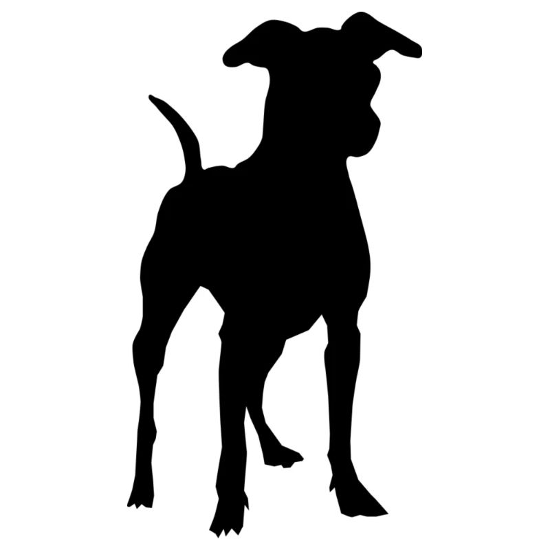 Pinscher