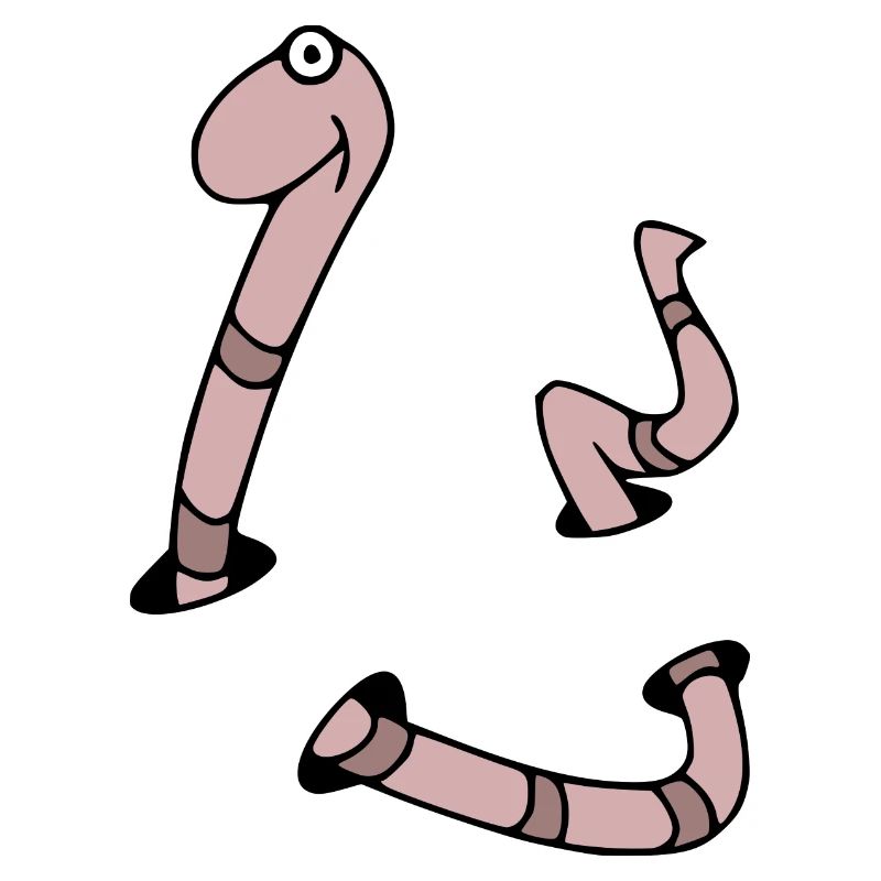 Wurm