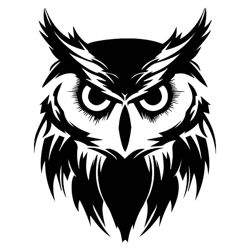 Eule Eulen Vogel Vögel