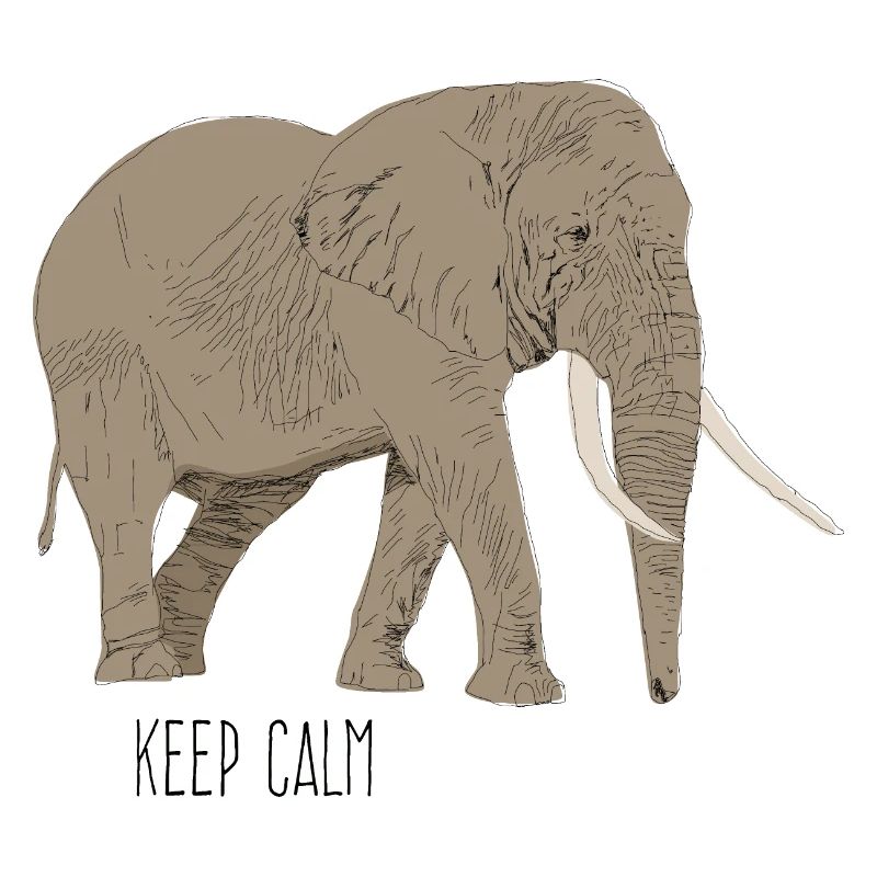 Elefant keep calm