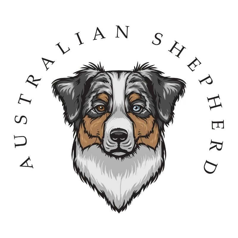 Australian Shepherd