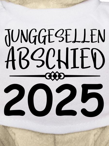 Bachelor party 2025