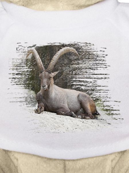 Steinbock als Sternzeichen und Wappentier