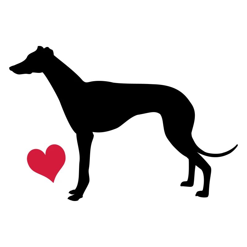 Greyhound