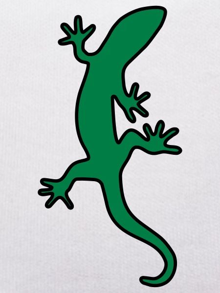 Lizard Salamander gecko