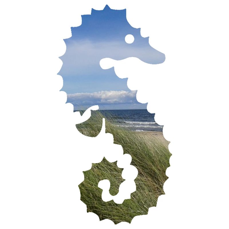 Seepferdchen Ostsee