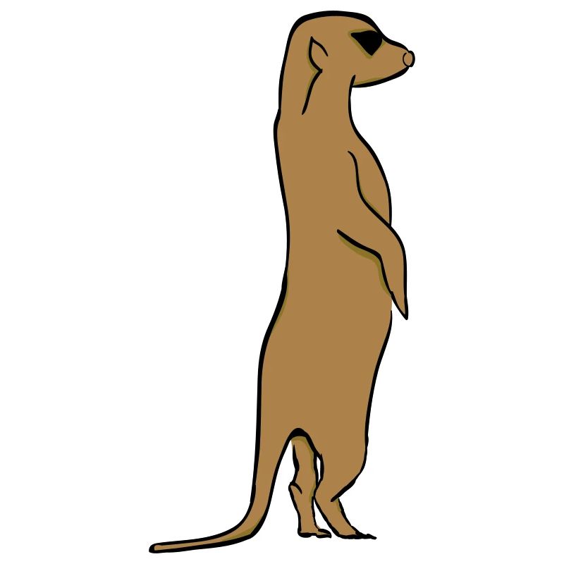 Erdmännchen