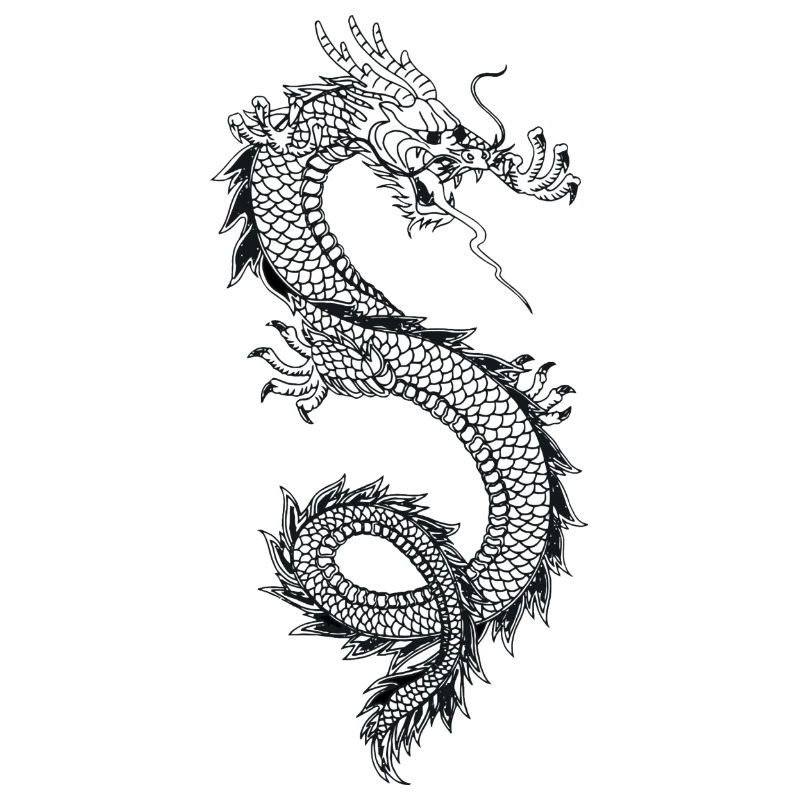 Drache