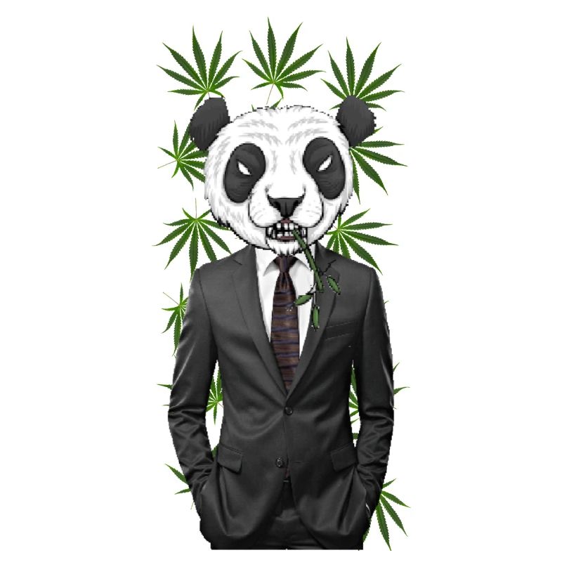Panda Cannabis