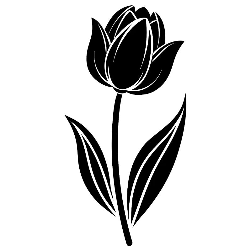 Tulpe
