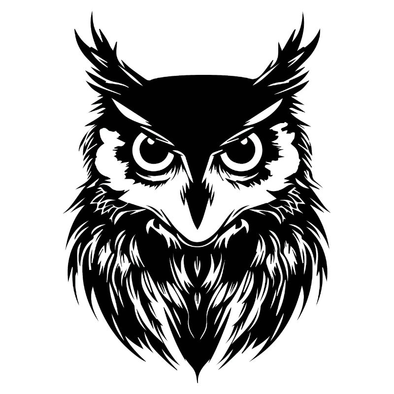 Eule Eulen Vogel Vögel