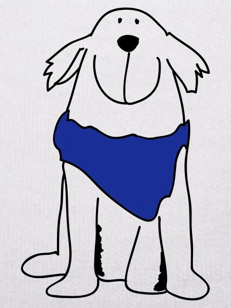 Cute retriever
