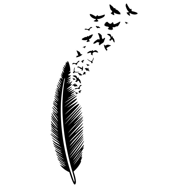 Feder und Vögel Vogelschwarm