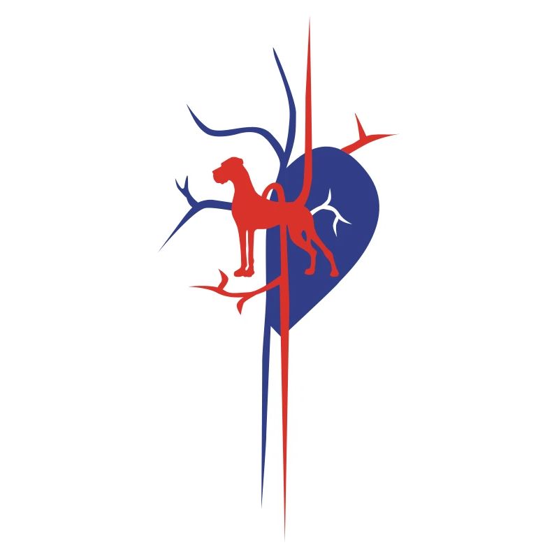 Great Dane in the heart