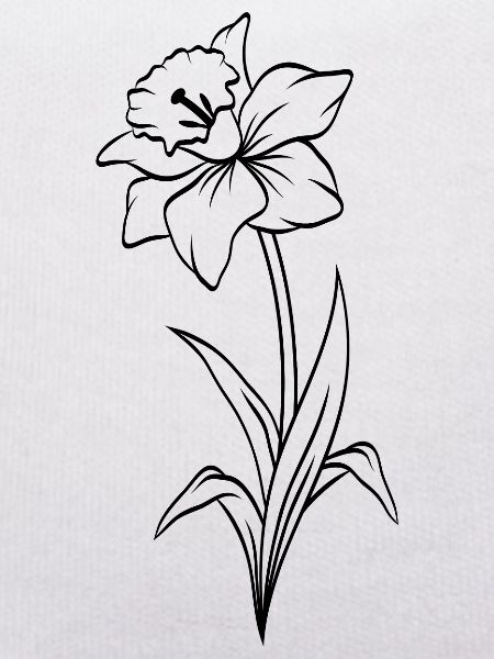 Narcisse