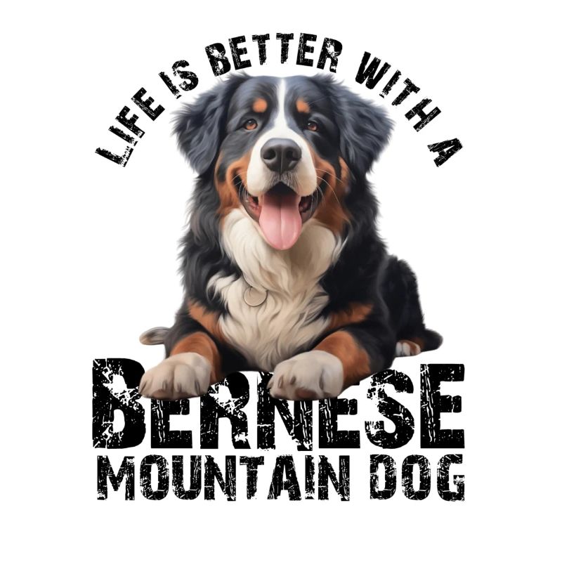 Berner Sennenhund