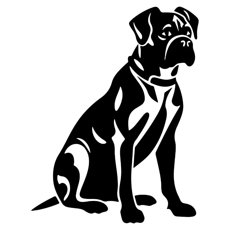 Boxer Hund