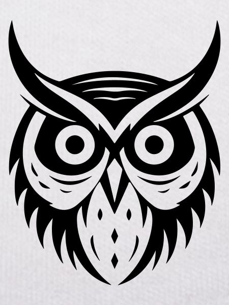 owl animal