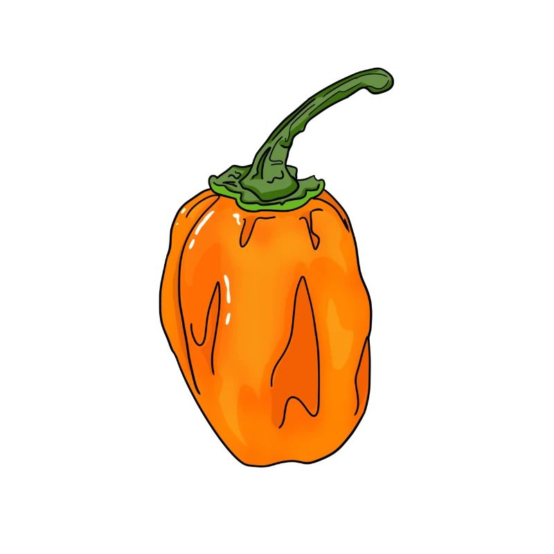Piment Chili Piment Habanero Manger Sharp