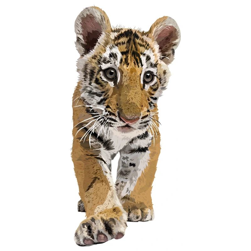 bengalischer Tiger