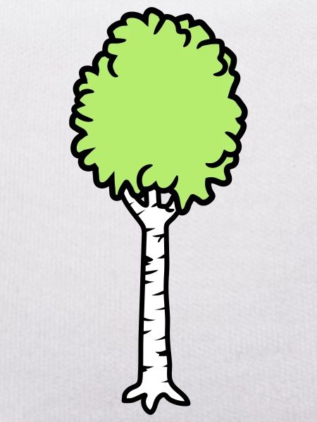 Birch Trees Cool