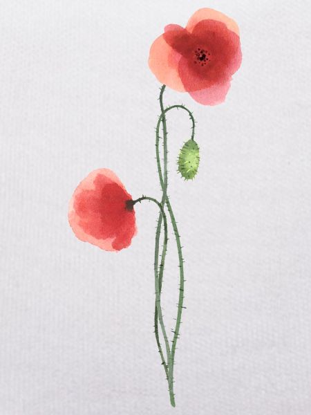 Flower: red poppy