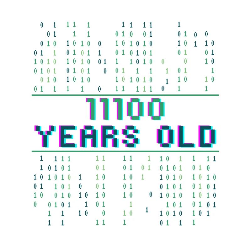 28. Geburtstag 28 Jahre alt Binärcode Coder