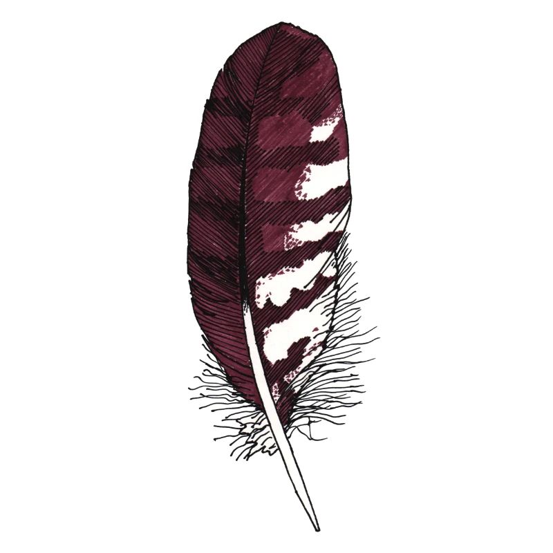 Petite plume marron dessinée à la main (buse)