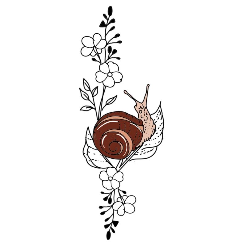 Schnecke