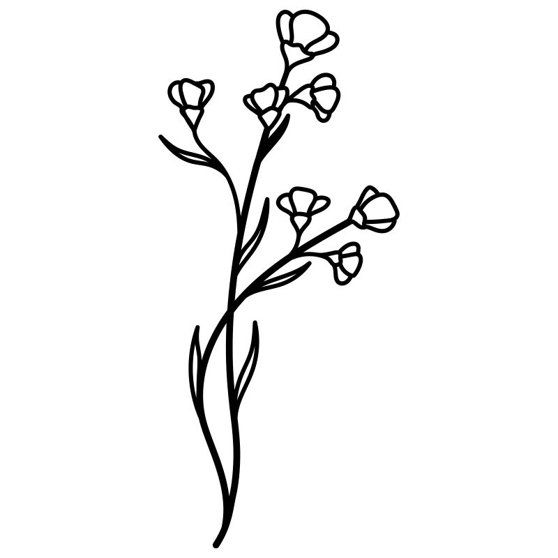 fleur sauvage simple