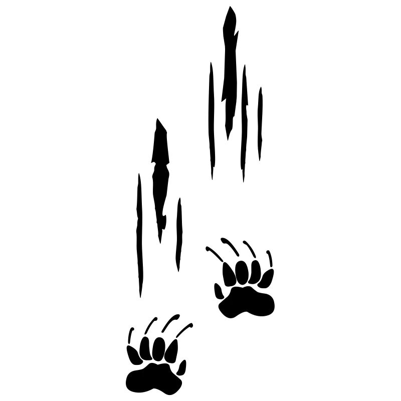 Scratches, Claws