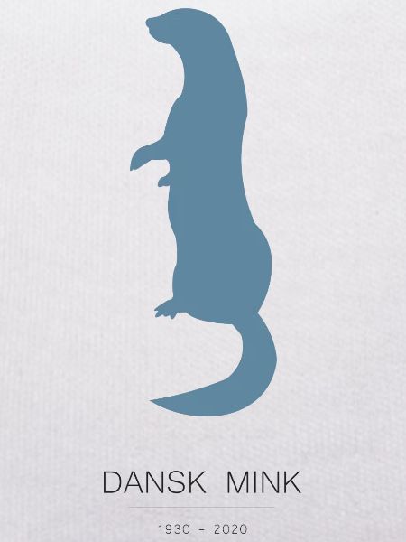 Danish Mink